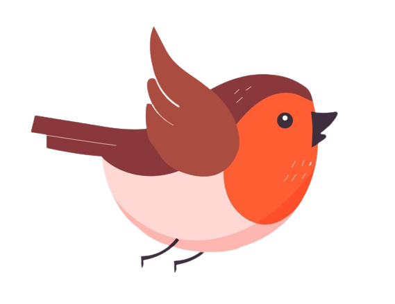 bird